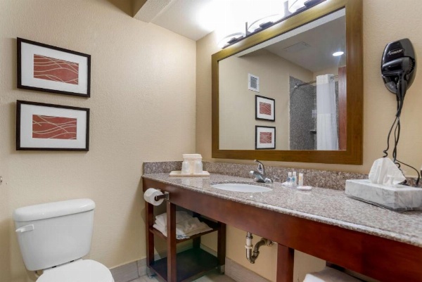 Comfort Inn University Area image 17